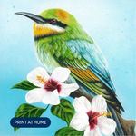 Load image into Gallery viewer, Mother&#39;s Day Gift - Rainbow Bee-Eater PRINT AT HOME
