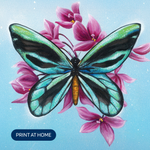 Load image into Gallery viewer, Mother&#39;s Day Gift - Queen Alexandria Birdwing PRINT AT HOME
