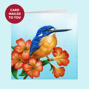 Mother's Day Gift - Papuan Dwarf Kingfisher MAILED TO YOU